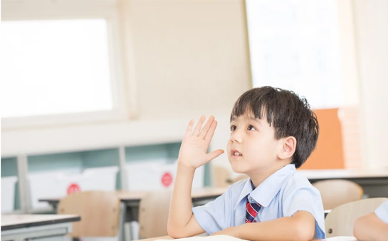 武汉小学语文辅导哪家好