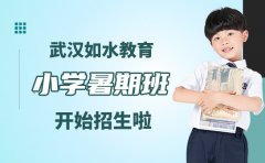 武汉如水教育小学暑期班开始招生啦-招生简章