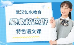 武汉如水教育哪家校区更好-特色语文课值得选
